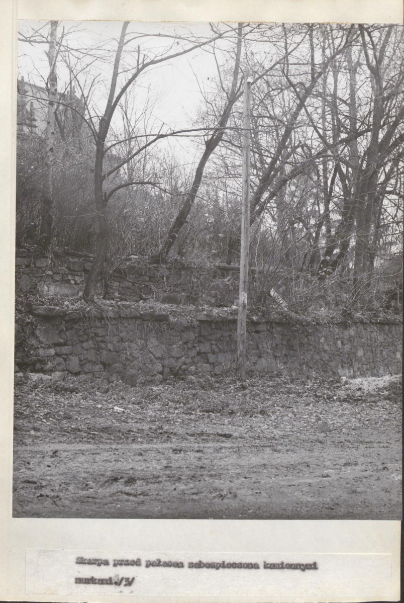 Ewidencja parkowa, skan nr 15