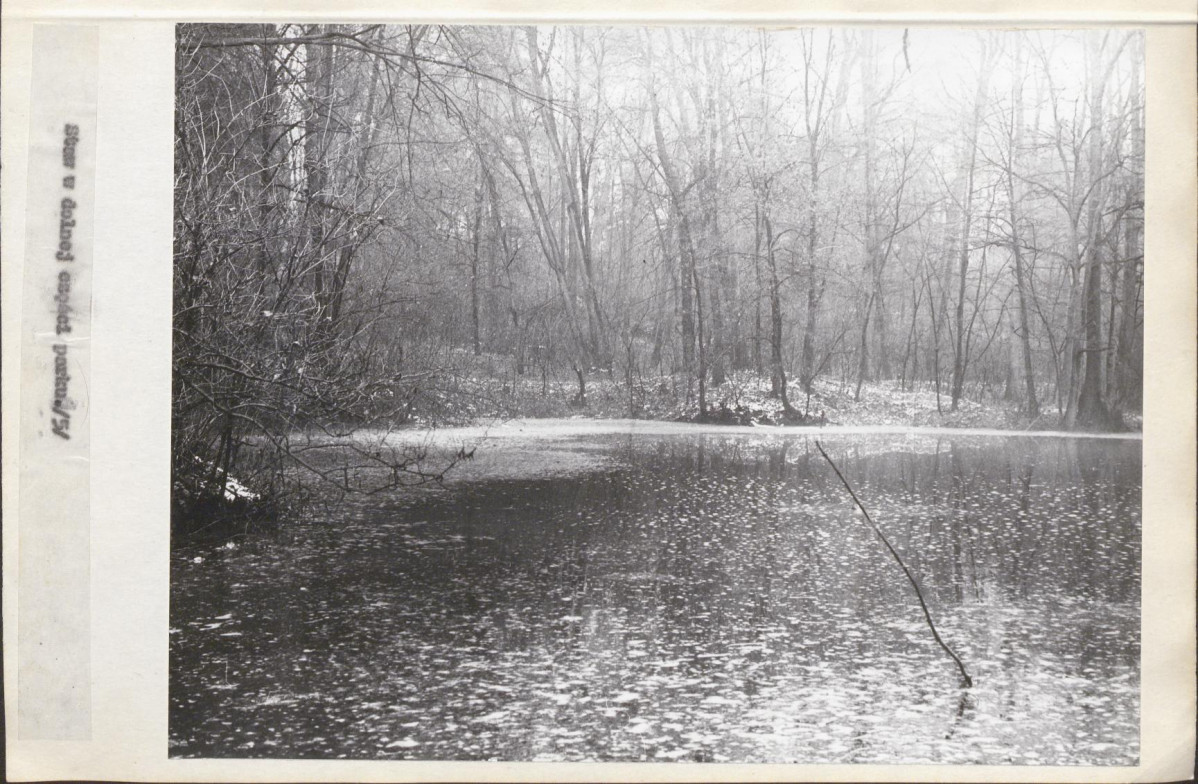 Ewidencja parkowa, skan nr 16