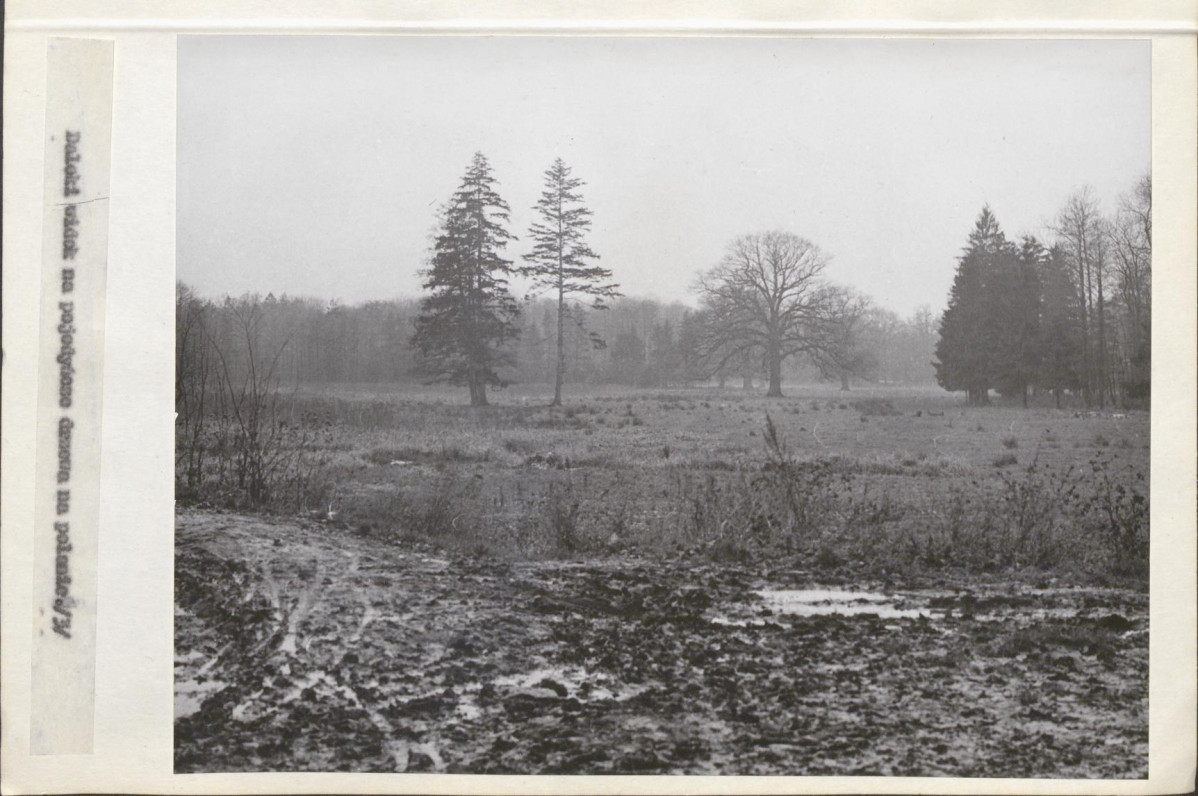 Ewidencja parkowa, skan nr 23