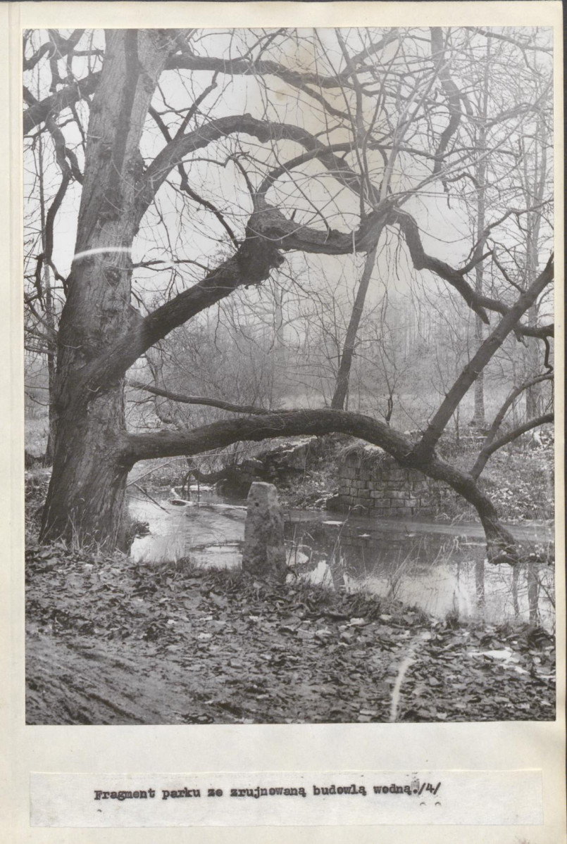 Ewidencja parkowa, skan nr 24