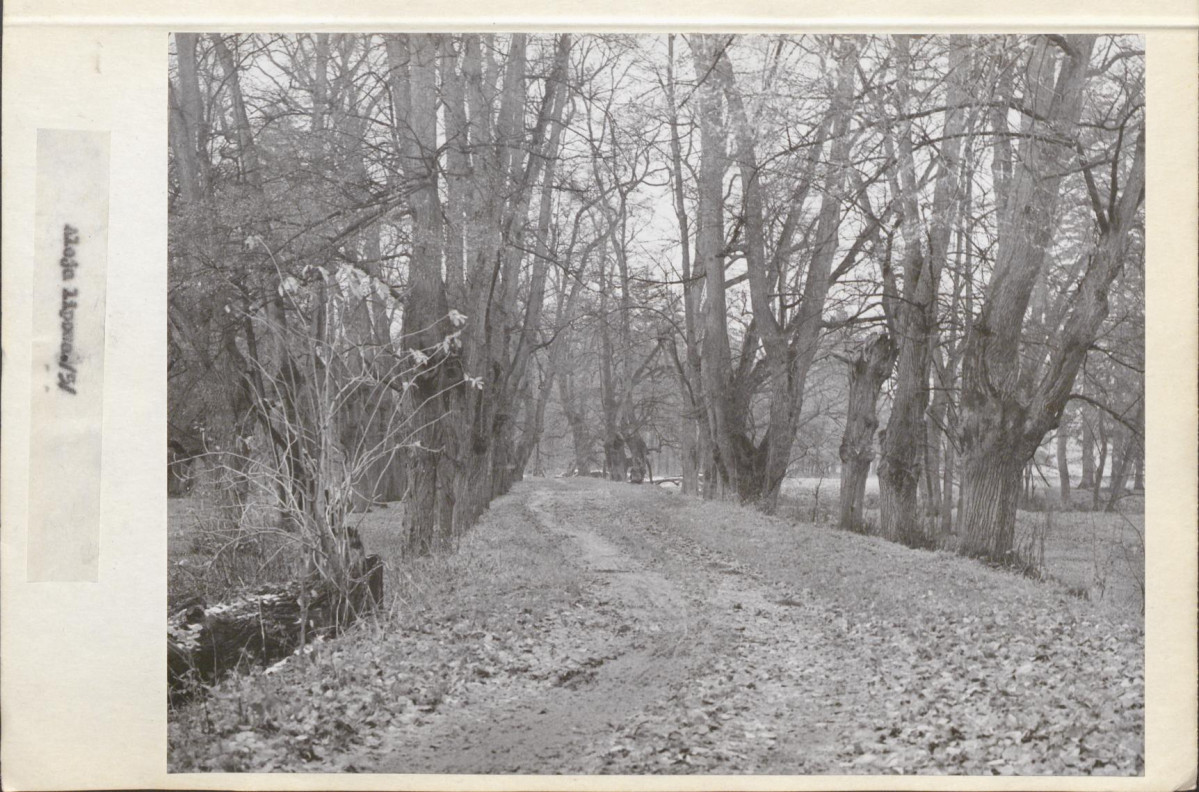 Ewidencja parkowa, skan nr 25