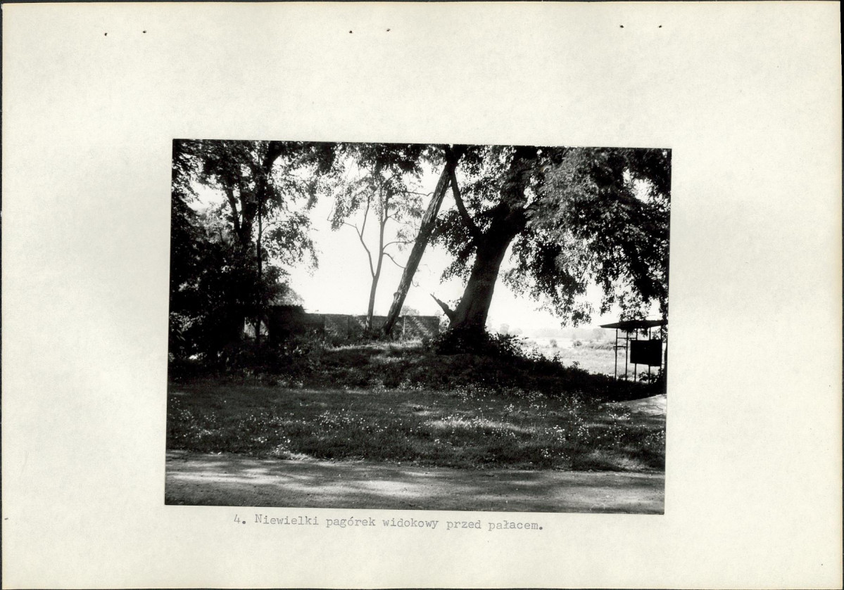 Ewidencja parkowa, skan nr 17