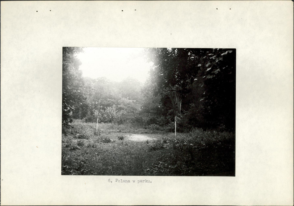 Ewidencja parkowa, skan nr 19