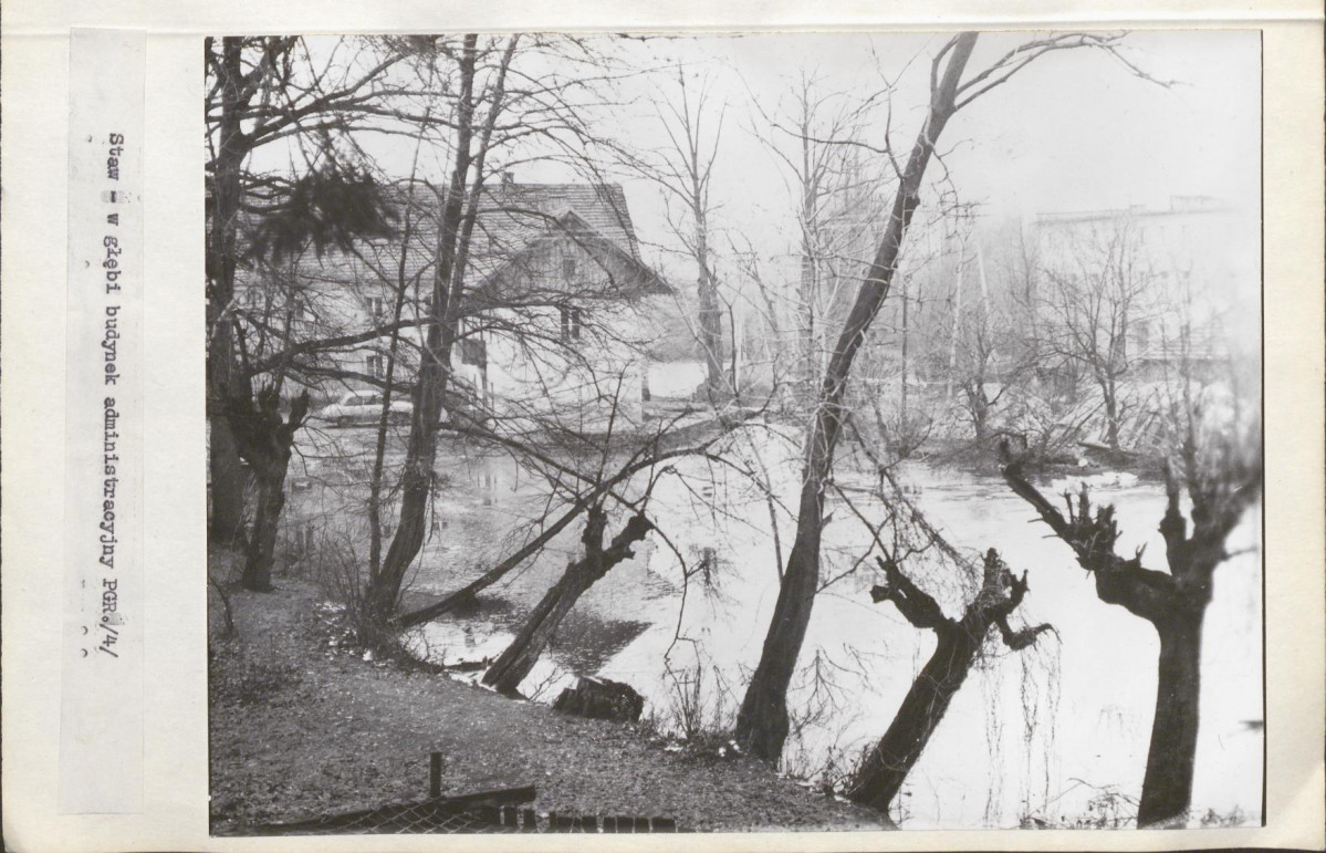 Ewidencja parkowa, skan nr 19