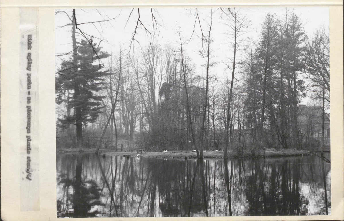 Ewidencja parkowa, skan nr 21