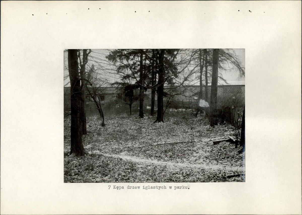 Ewidencja parkowa, skan nr 19