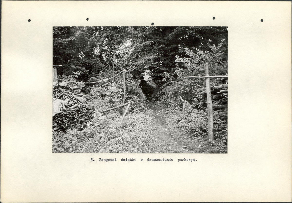 Ewidencja parkowa, skan nr 17