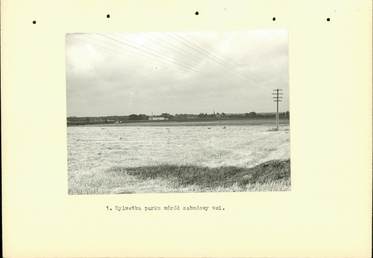 Ewidencja parkowa, skan nr 14