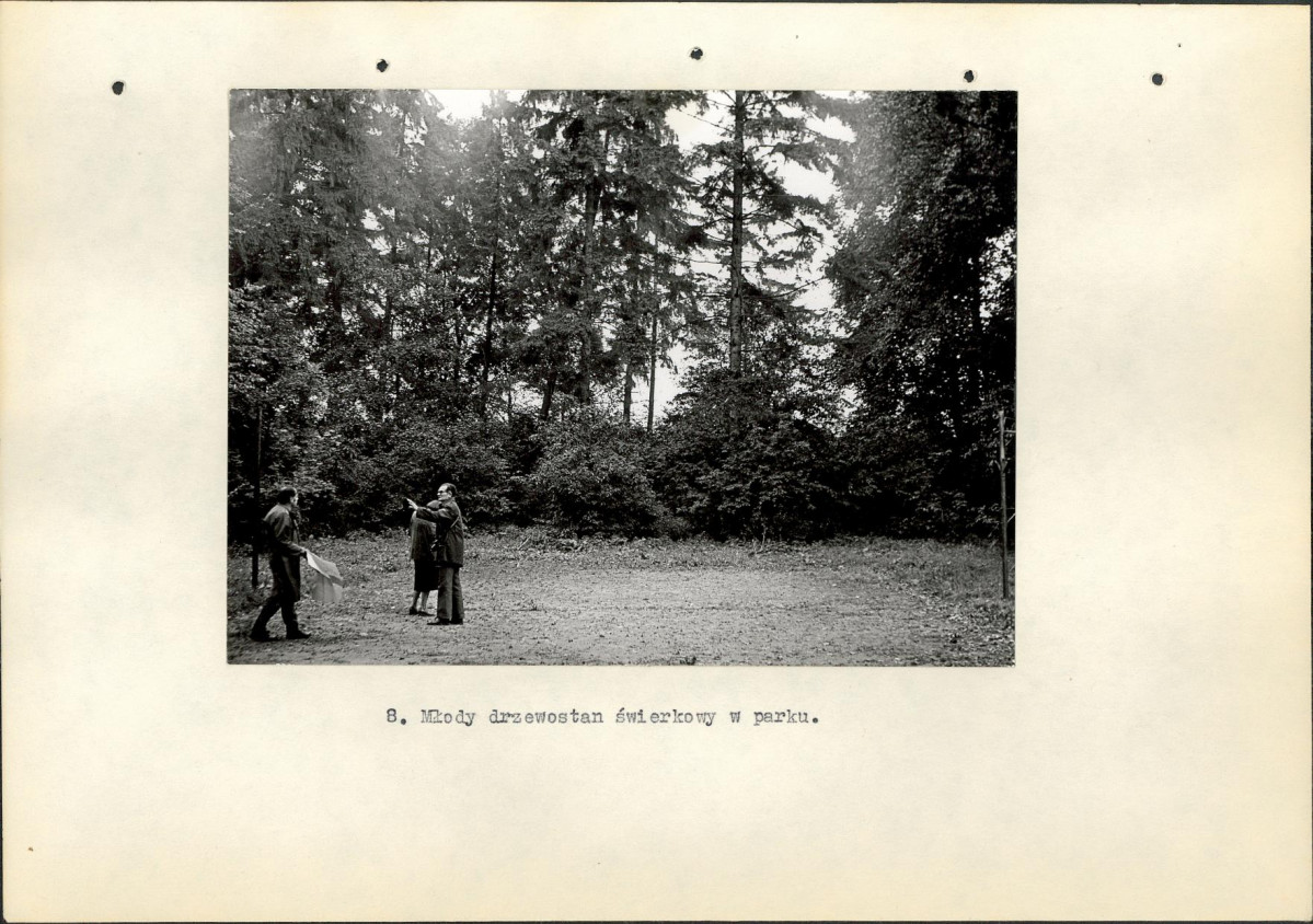 Ewidencja parkowa, skan nr 21