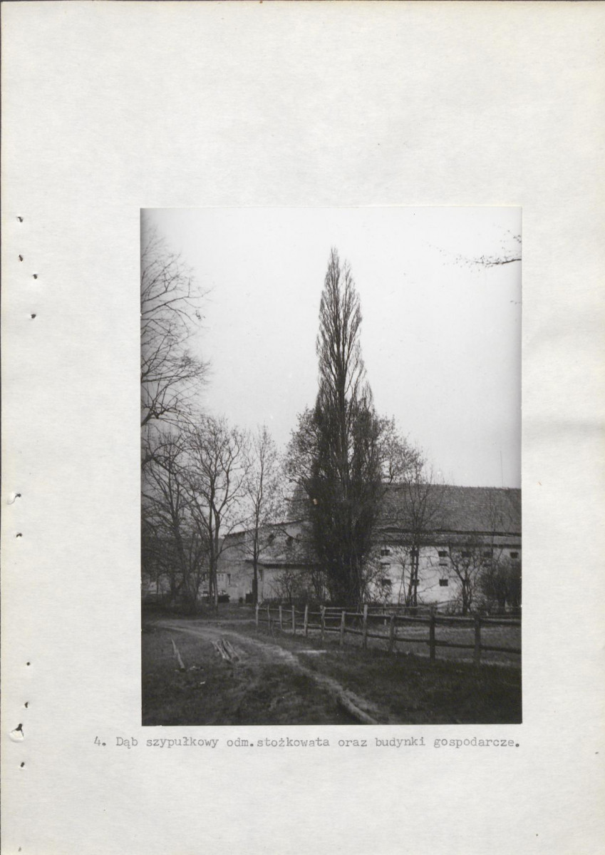 Ewidencja parkowa, skan nr 21