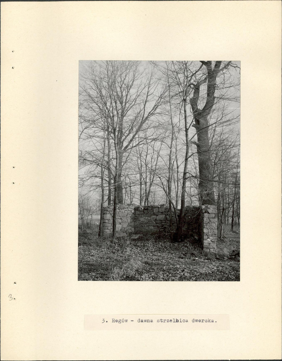 Ewidencja parkowa, skan nr 13