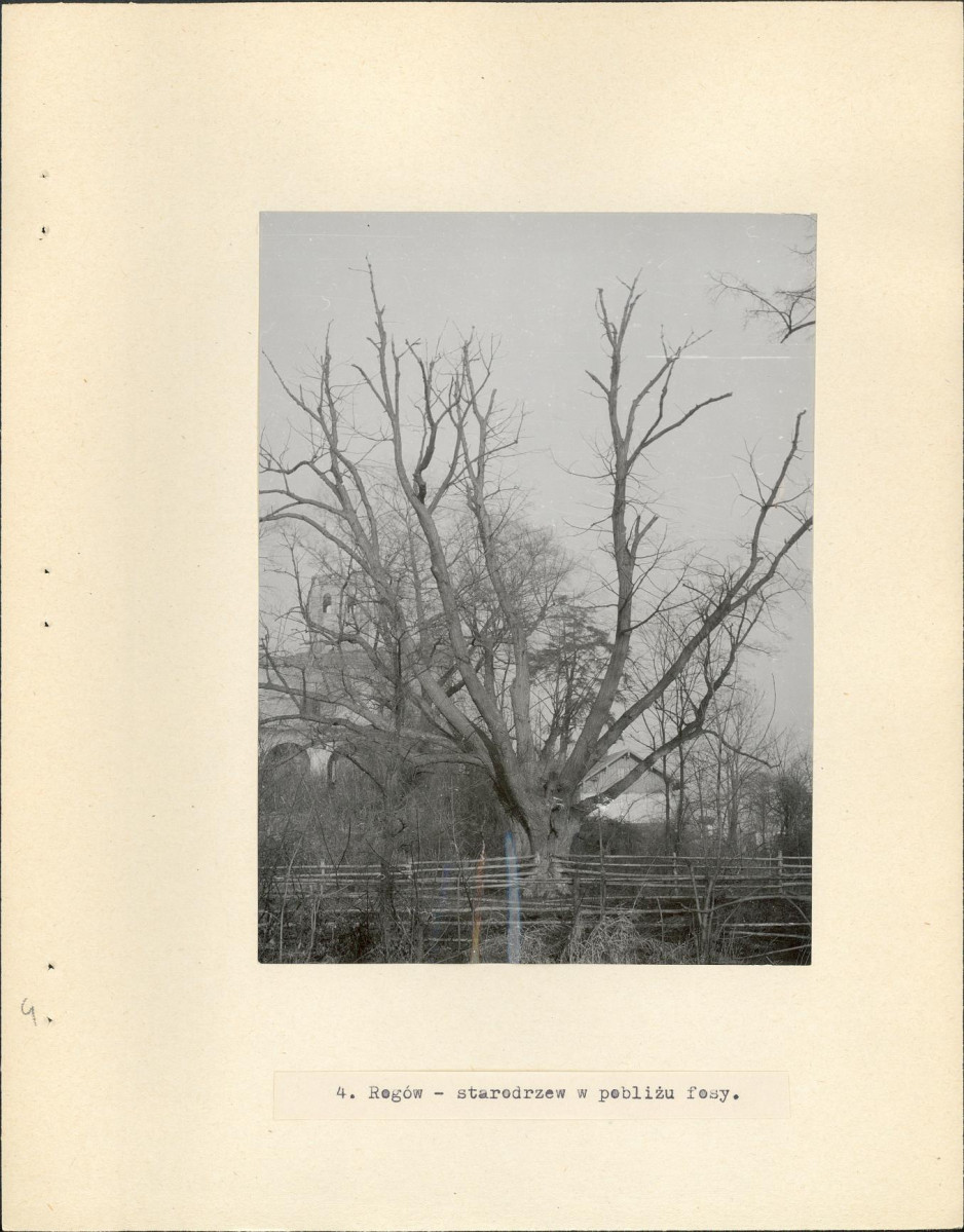 Ewidencja parkowa, skan nr 14