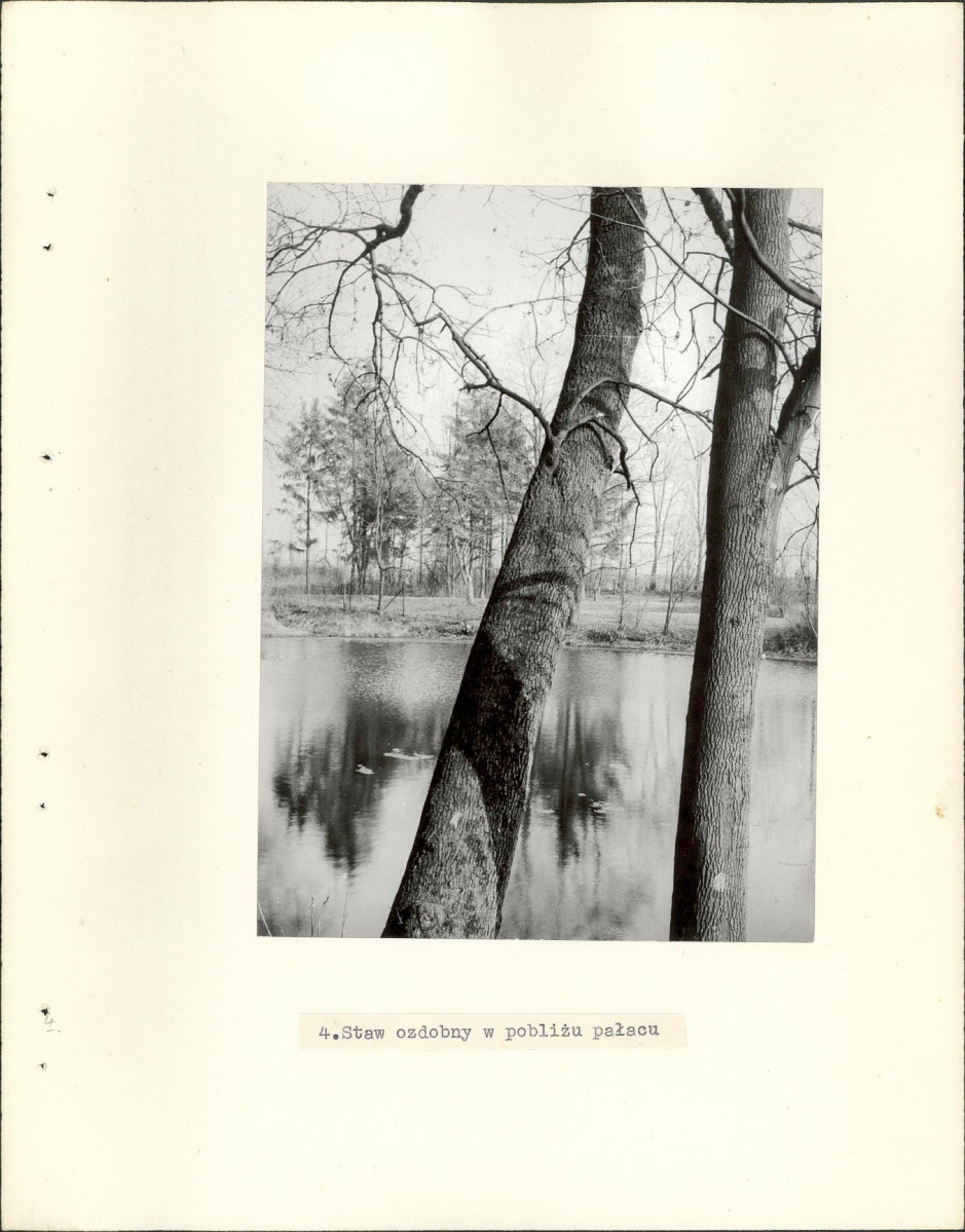 Ewidencja parkowa, skan nr 14