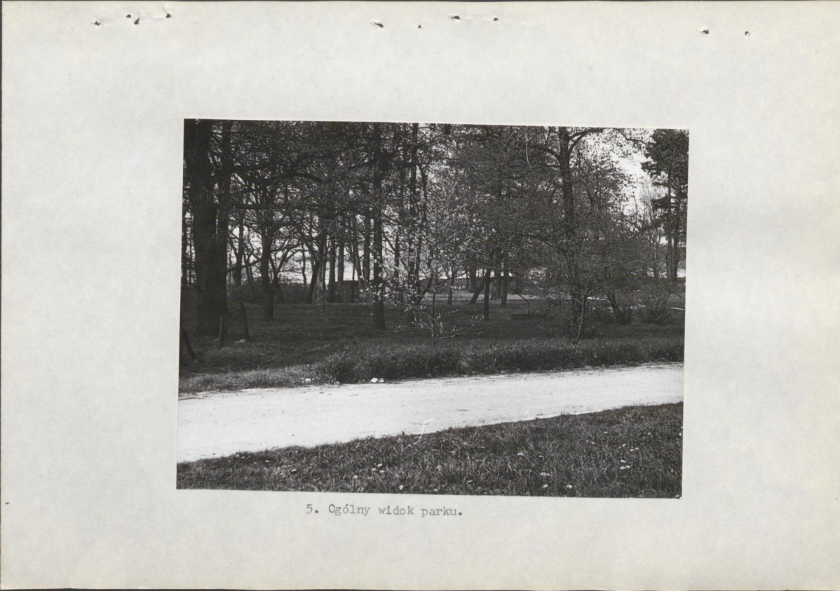 Ewidencja parkowa, skan nr 18