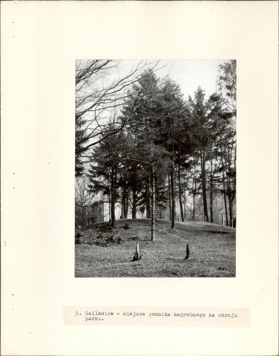 Ewidencja parkowa, skan nr 12