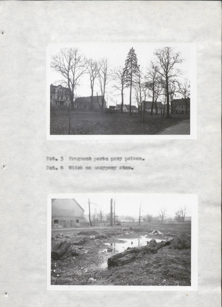 Ewidencja parkowa, skan nr 19