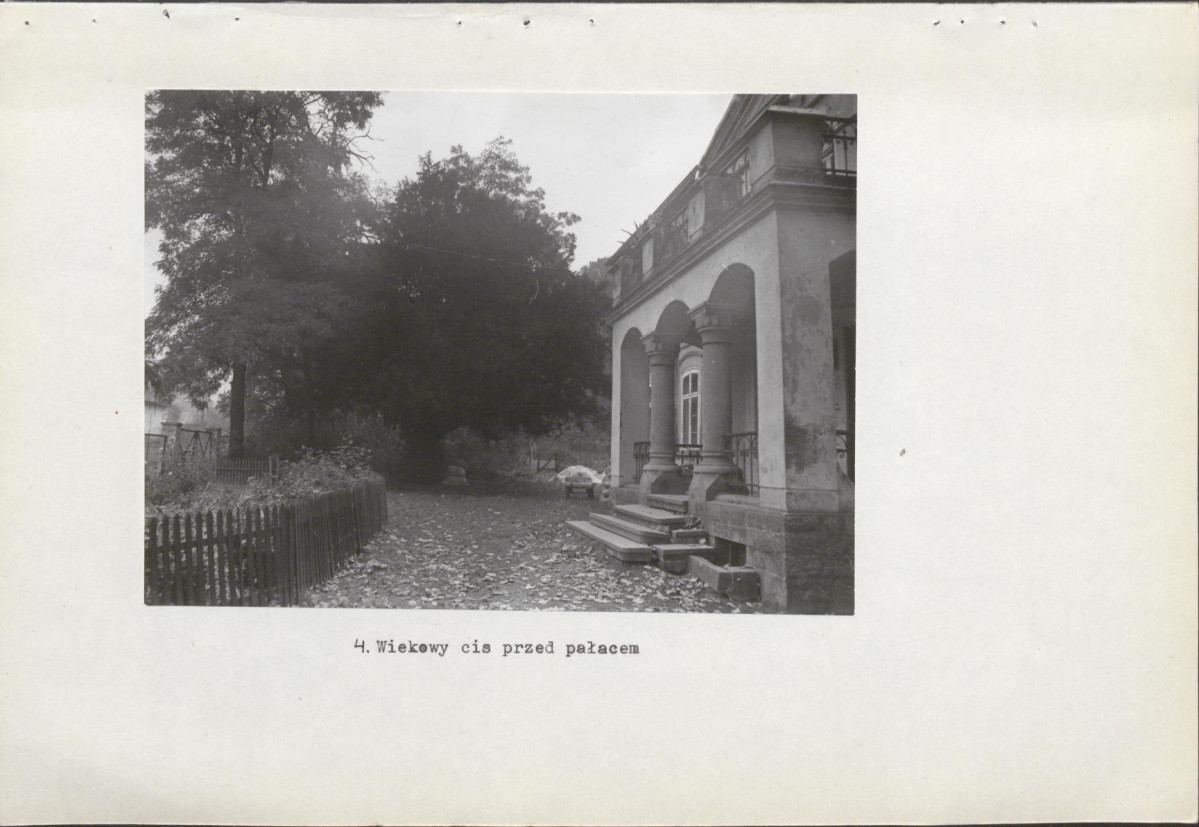 Ewidencja parkowa, skan nr 19