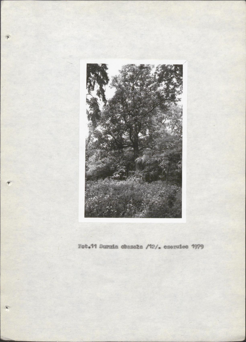 EP - Ewidencja parkowa, skan nr 28