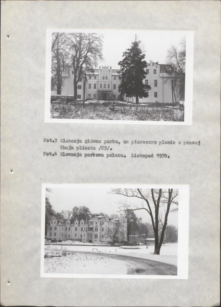 Ewidencja parkowa, skan nr 21