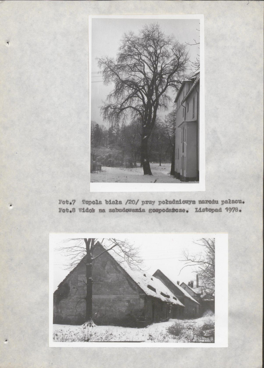 Ewidencja parkowa, skan nr 23