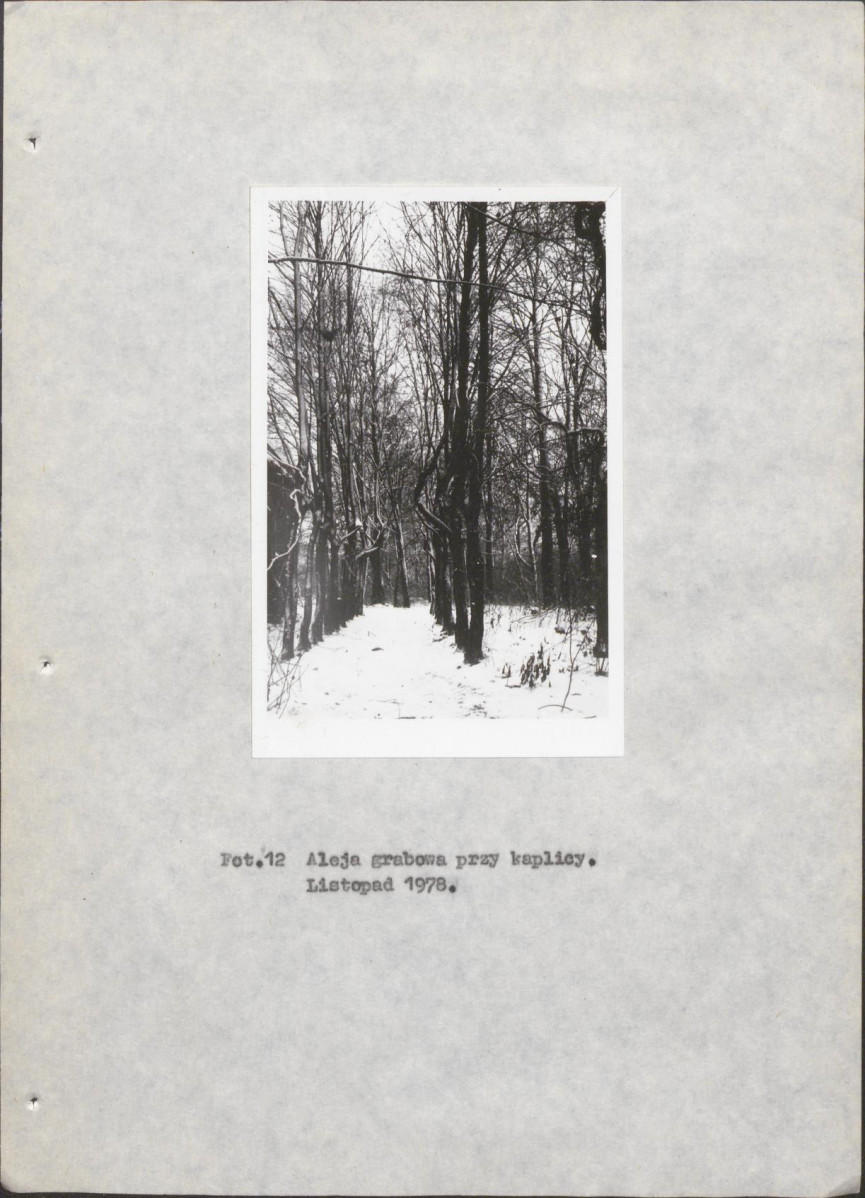 Ewidencja parkowa, skan nr 26
