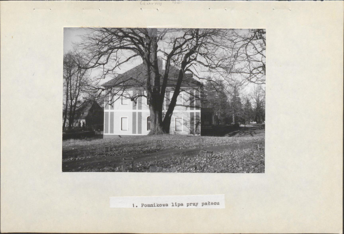 Ewidencja parkowa, skan nr 20