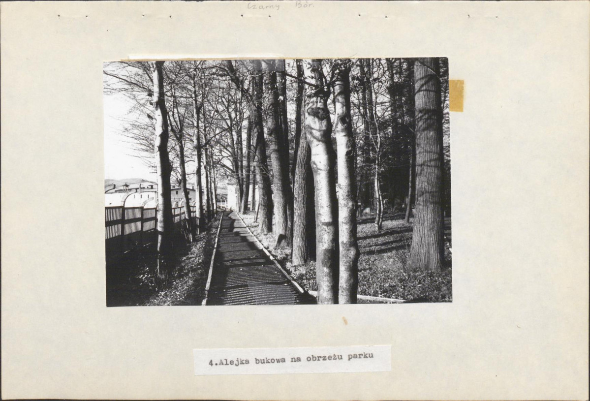 Ewidencja parkowa, skan nr 23