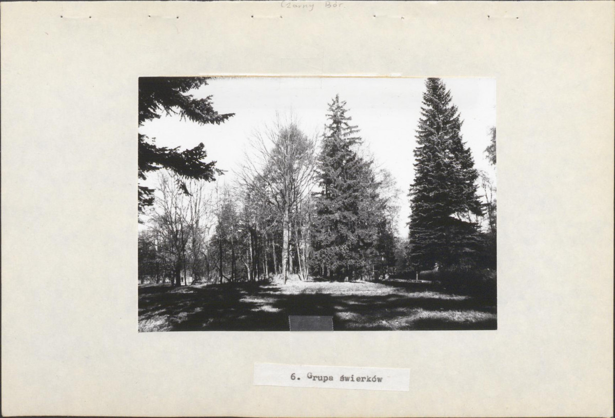 Ewidencja parkowa, skan nr 25
