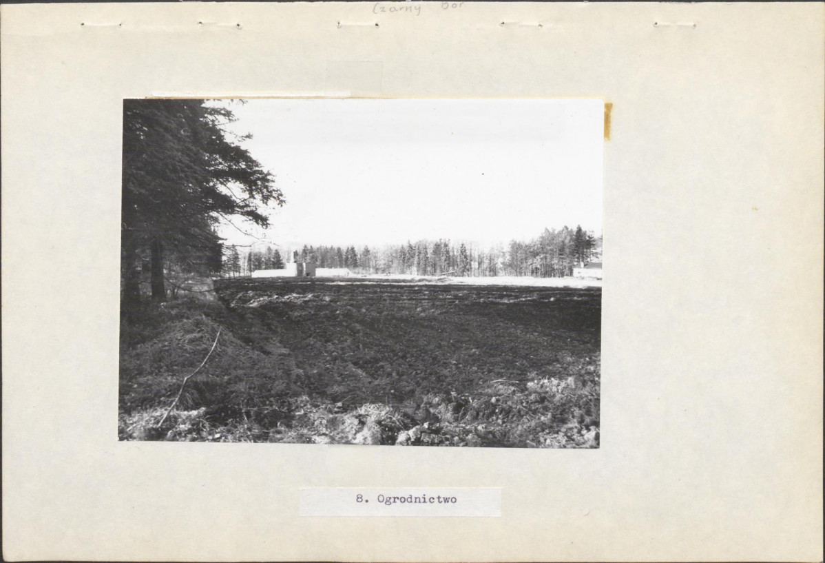 Ewidencja parkowa, skan nr 27