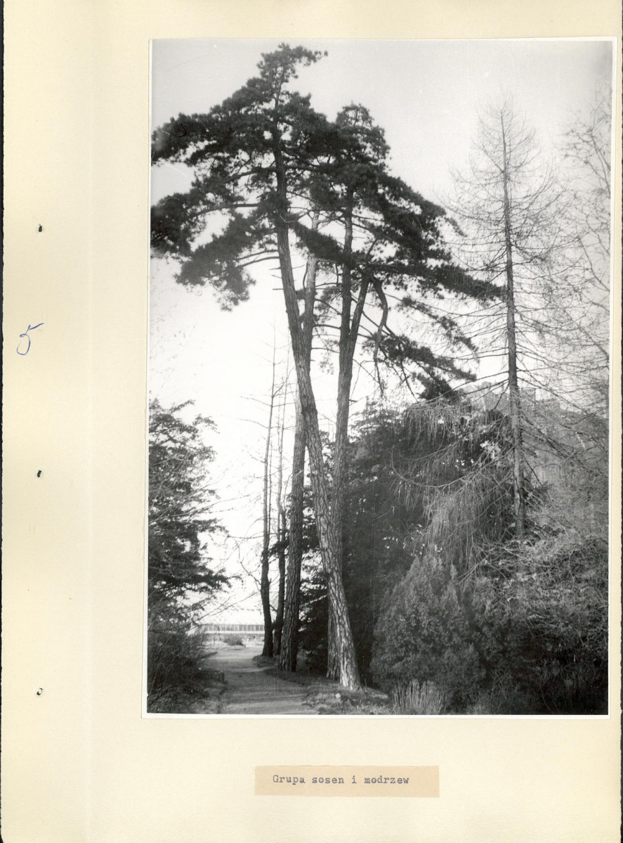 Ewidencja parkowa, skan nr 22