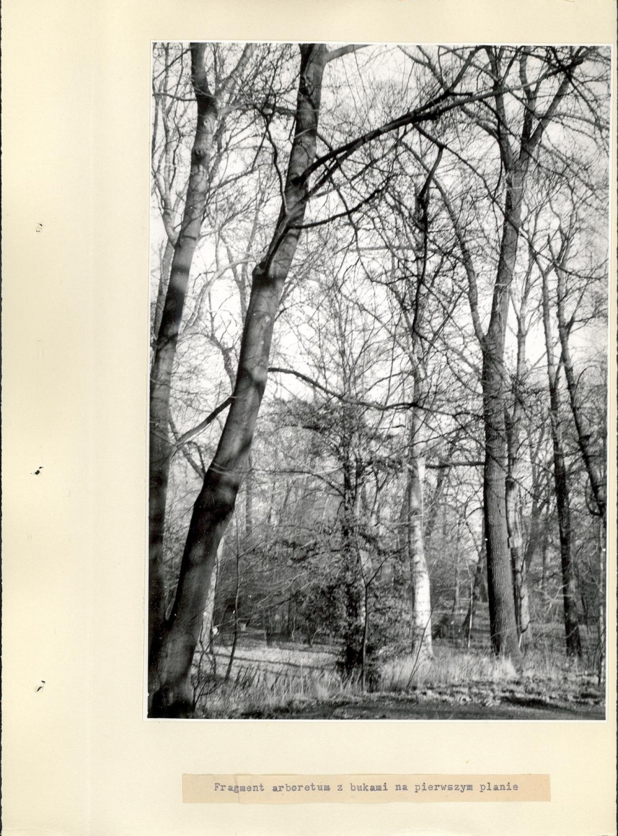 Ewidencja parkowa, skan nr 28