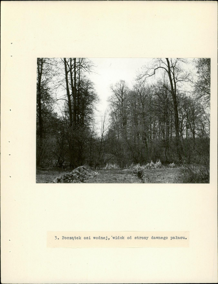 Ewidencja parkowa, skan nr 13