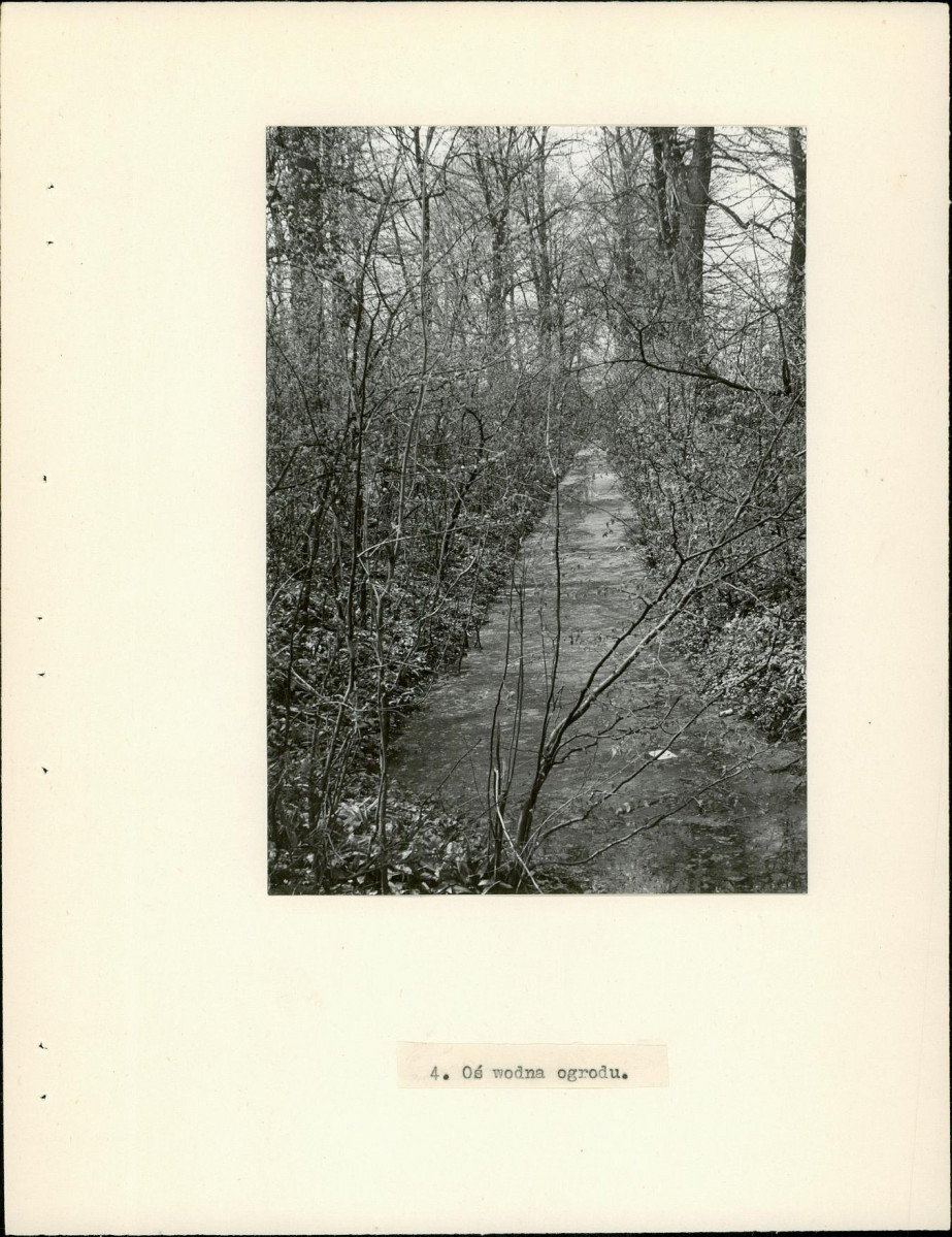 Ewidencja parkowa, skan nr 14