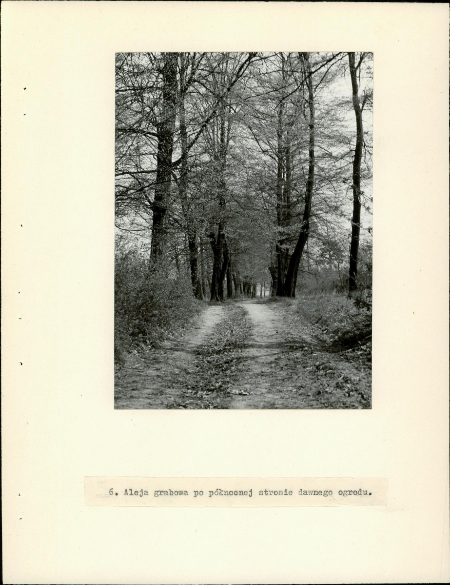 Ewidencja parkowa, skan nr 16