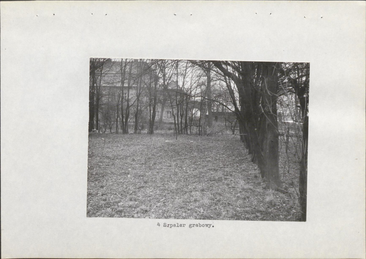 Ewidencja parkowa, skan nr 17