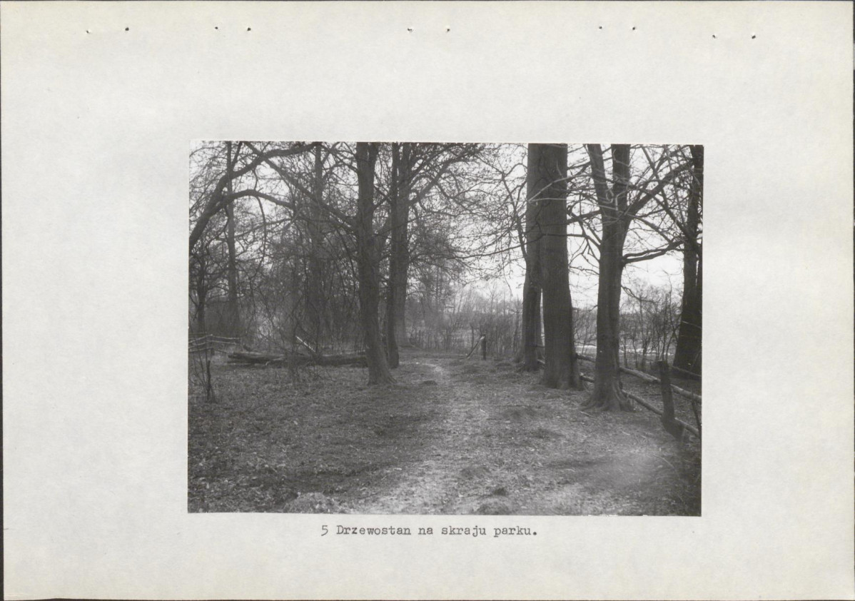 Ewidencja parkowa, skan nr 18