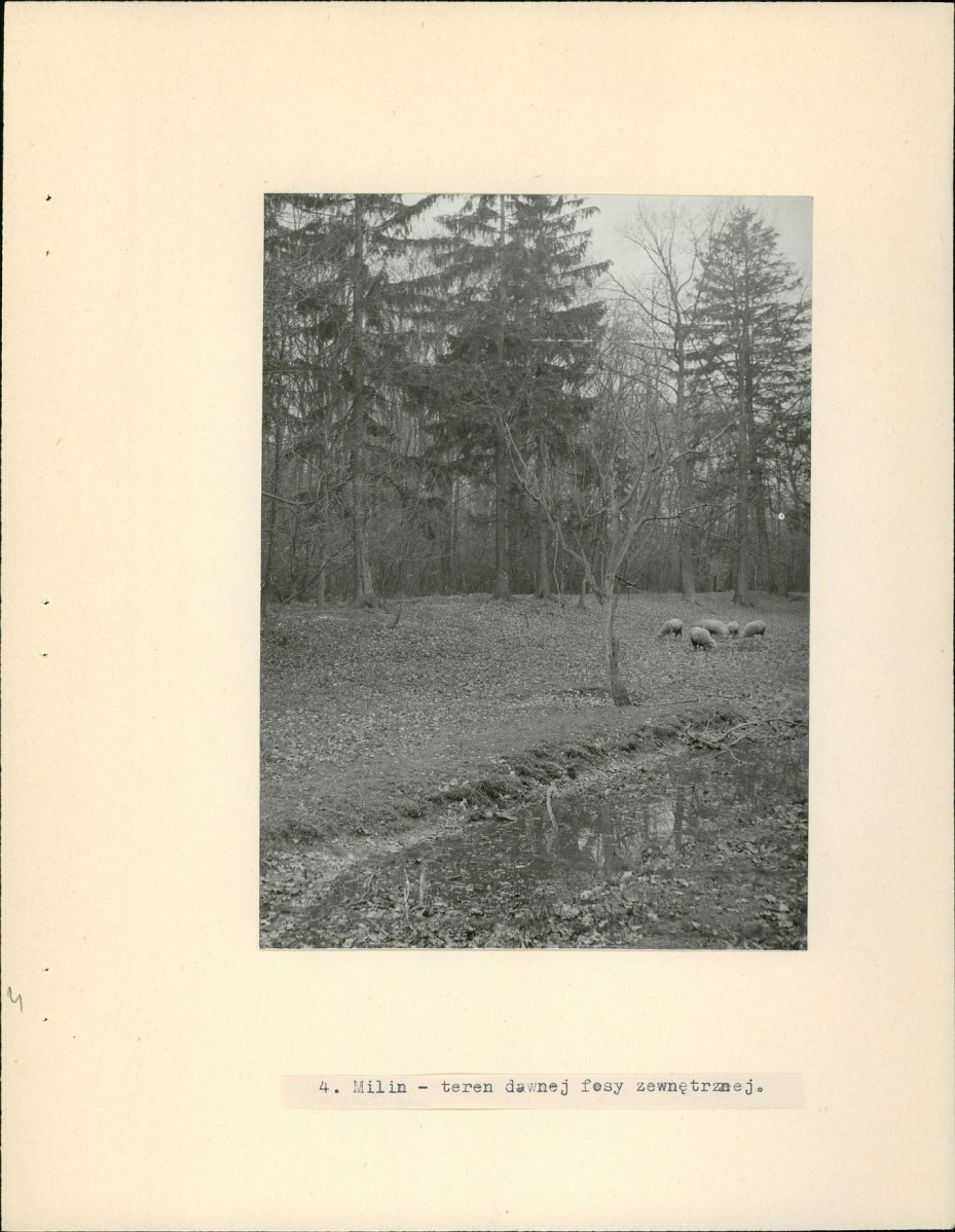 Ewidencja parkowa, skan nr 13