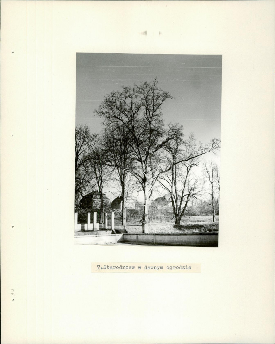 Ewidencja parkowa, skan nr 20