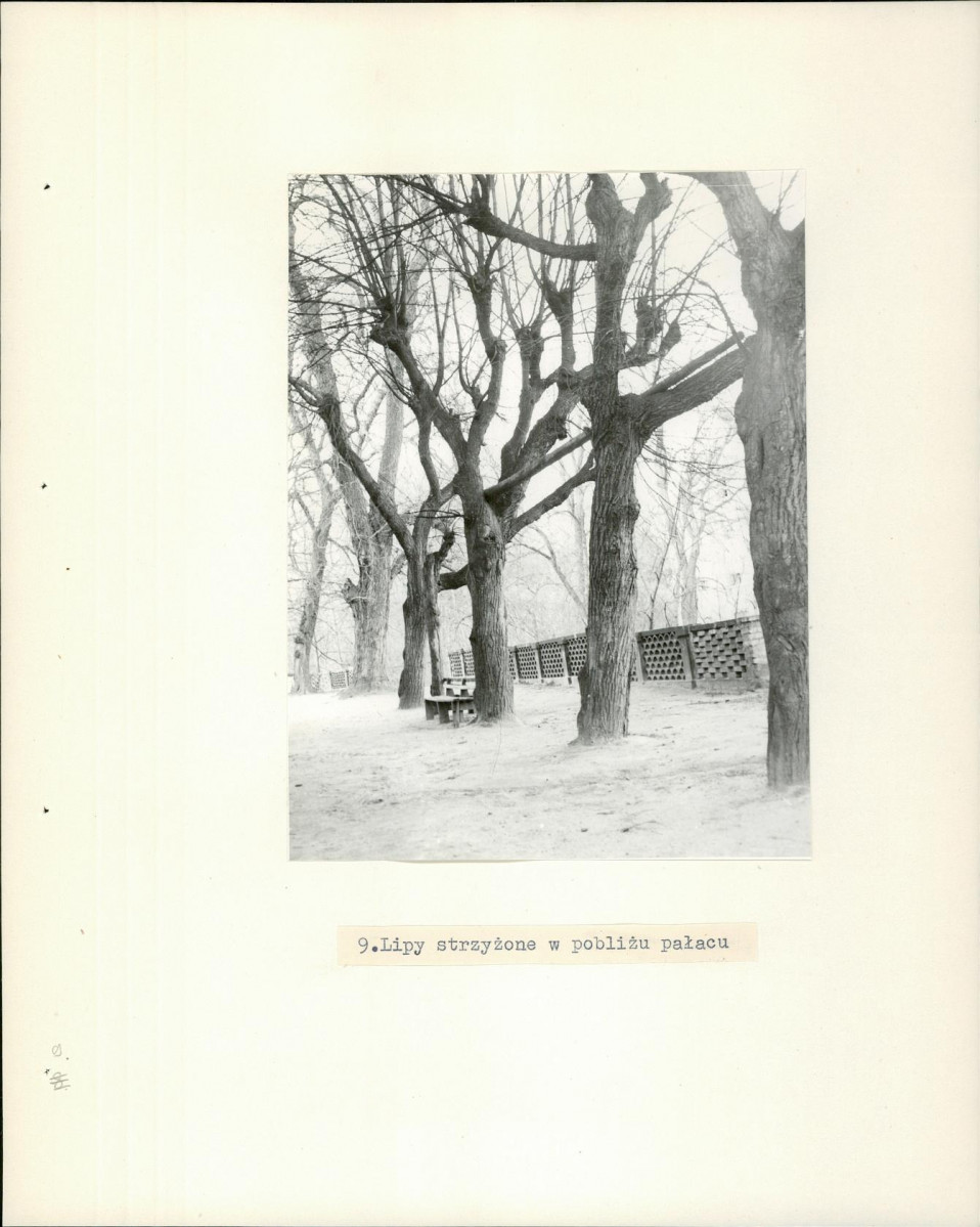 Ewidencja parkowa, skan nr 22