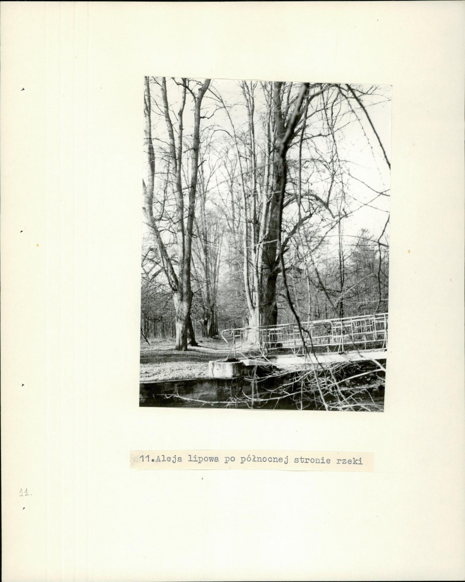 Ewidencja parkowa, skan nr 24