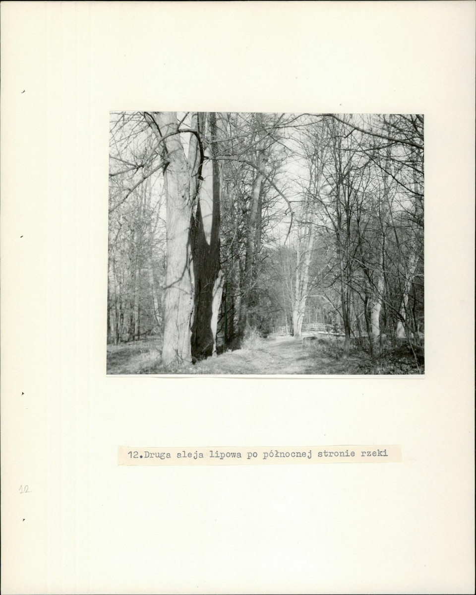 Ewidencja parkowa, skan nr 25