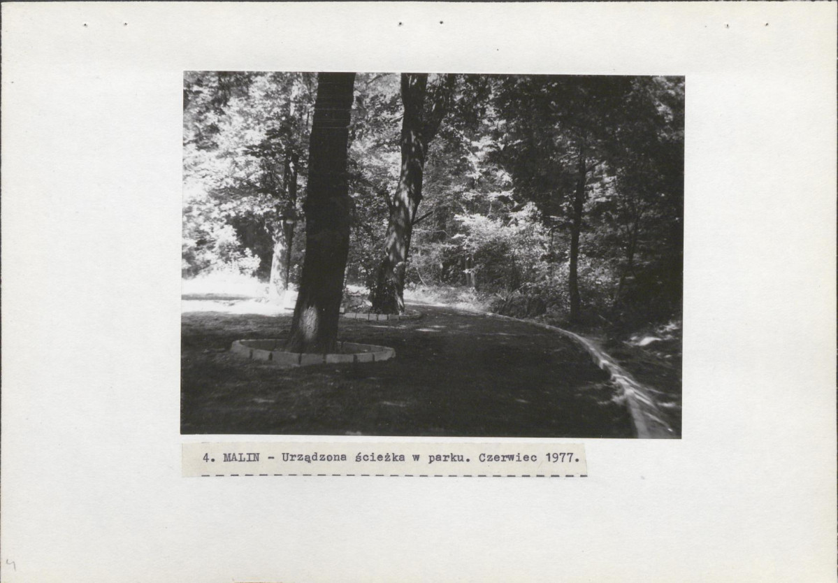 Ewidencja parkowa, skan nr 28