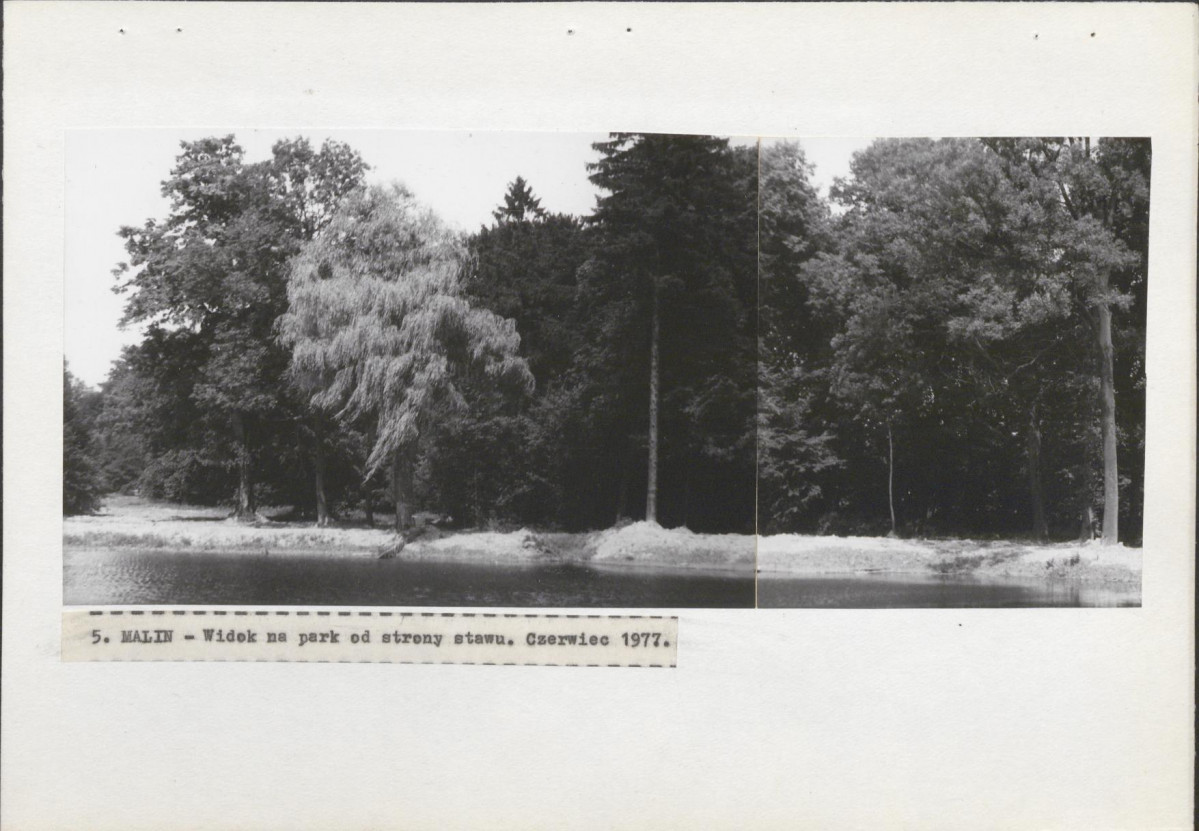 Ewidencja parkowa, skan nr 29