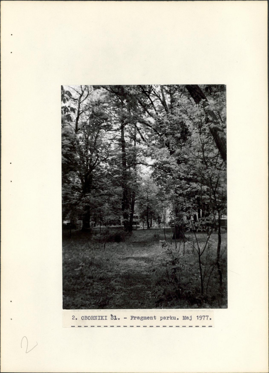 Ewidencja parkowa, skan nr 20