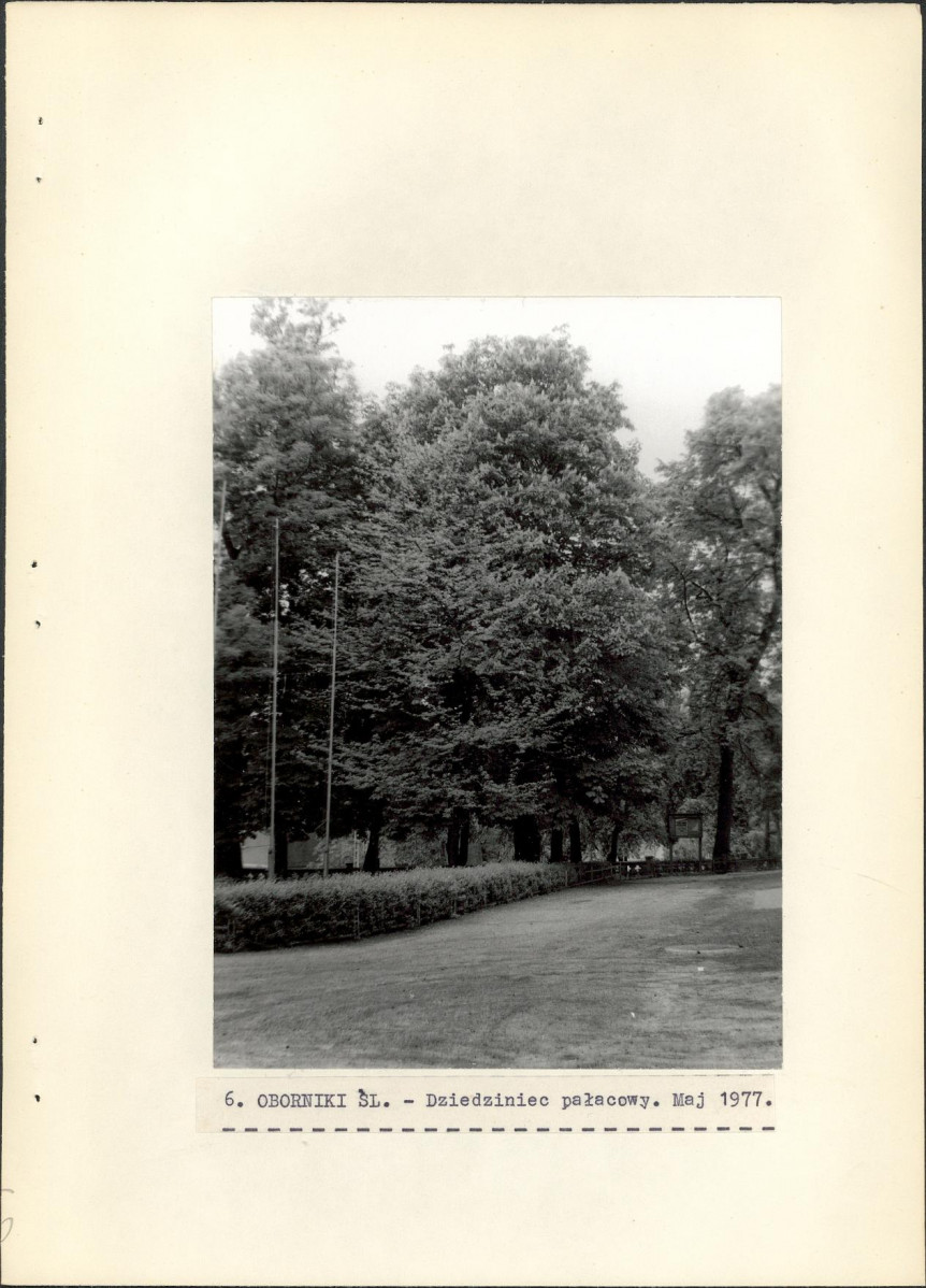 Ewidencja parkowa, skan nr 24