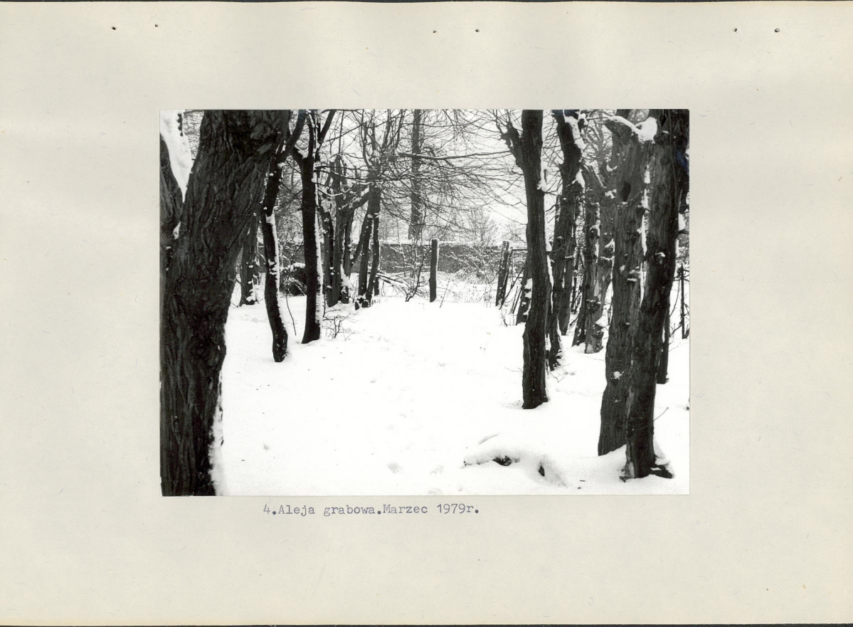 Ewidencja parkowa, skan nr 20