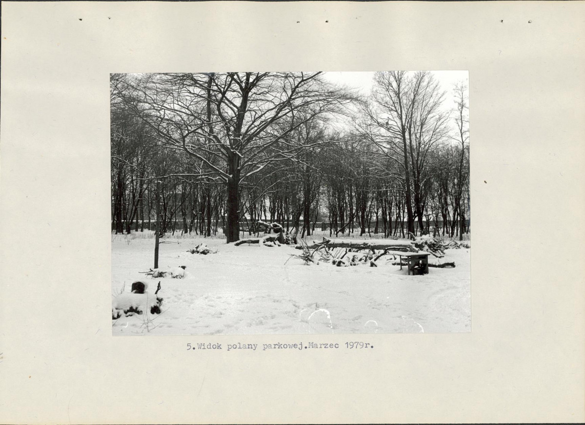 Ewidencja parkowa, skan nr 21