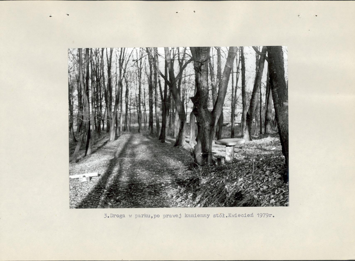 Ewidencja parkowa, skan nr 14