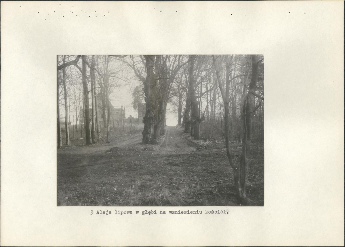 Ewidencja parkowa, skan nr 24