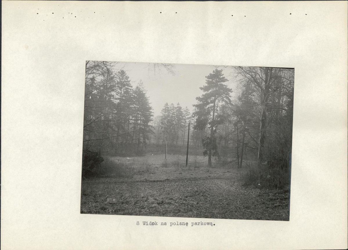 Ewidencja parkowa, skan nr 29